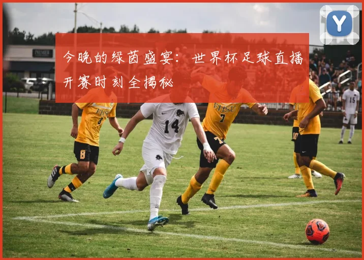 今晚的绿茵盛宴:世界杯足球直播开赛时刻全揭秘