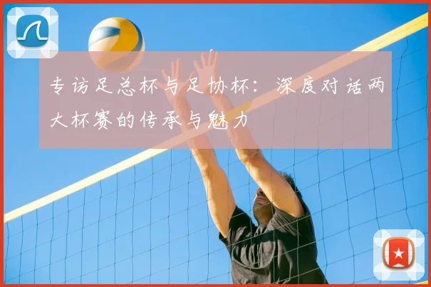 专访足总杯与足协杯：深度对话两大杯赛的传承与魅力