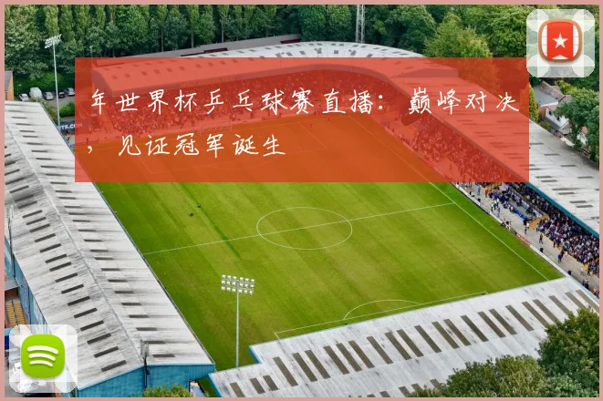 年世界杯乒乓球赛直播：巅峰对决，见证冠军诞生