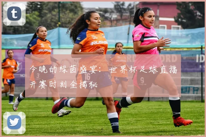 今晚的绿茵盛宴：世界杯足球直播开赛时刻全揭秘